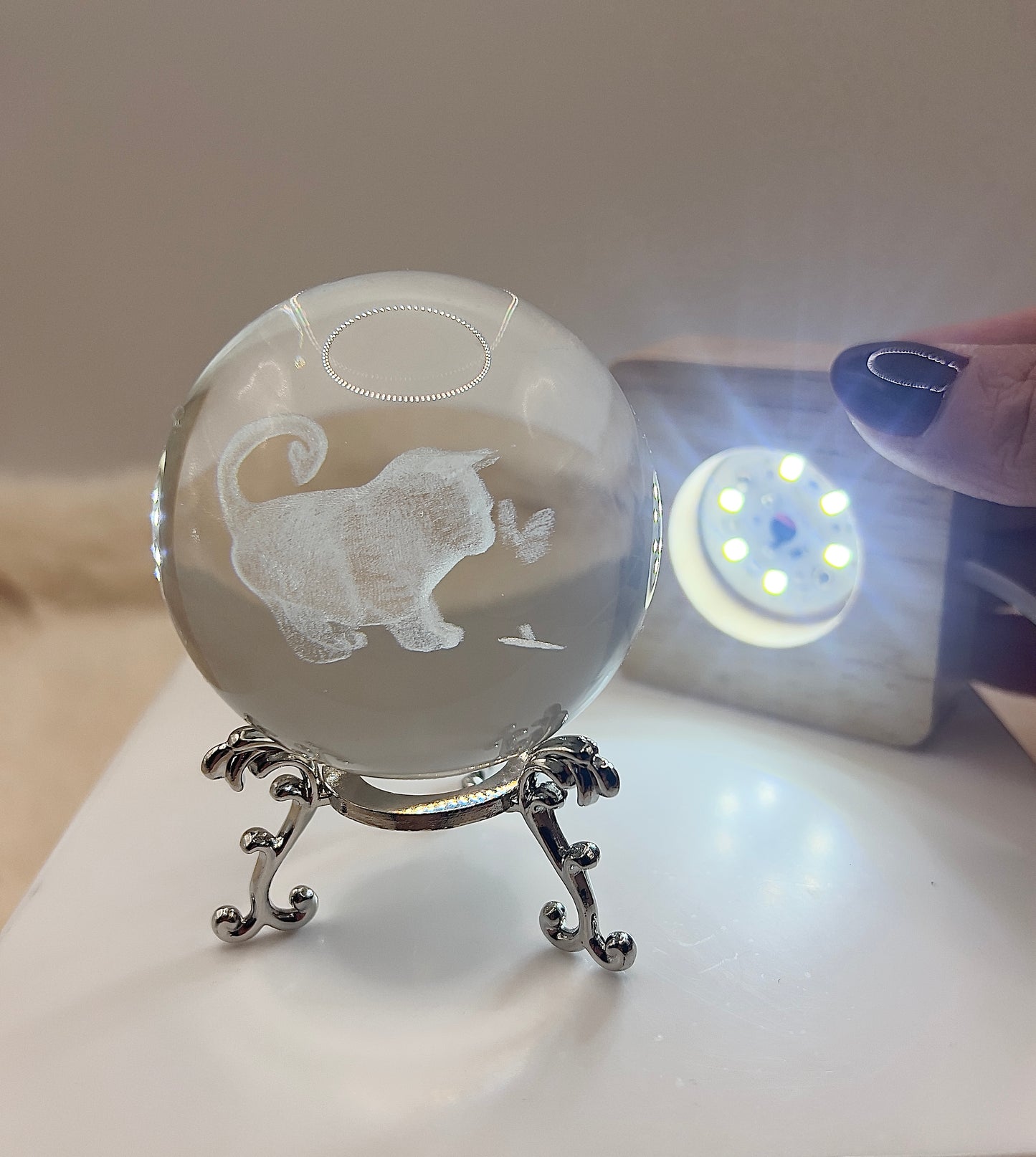 Kristallkugel „Black Kitten & Butterfly“ mit Silberständer – Verspielte Magie & Leichtigkeit