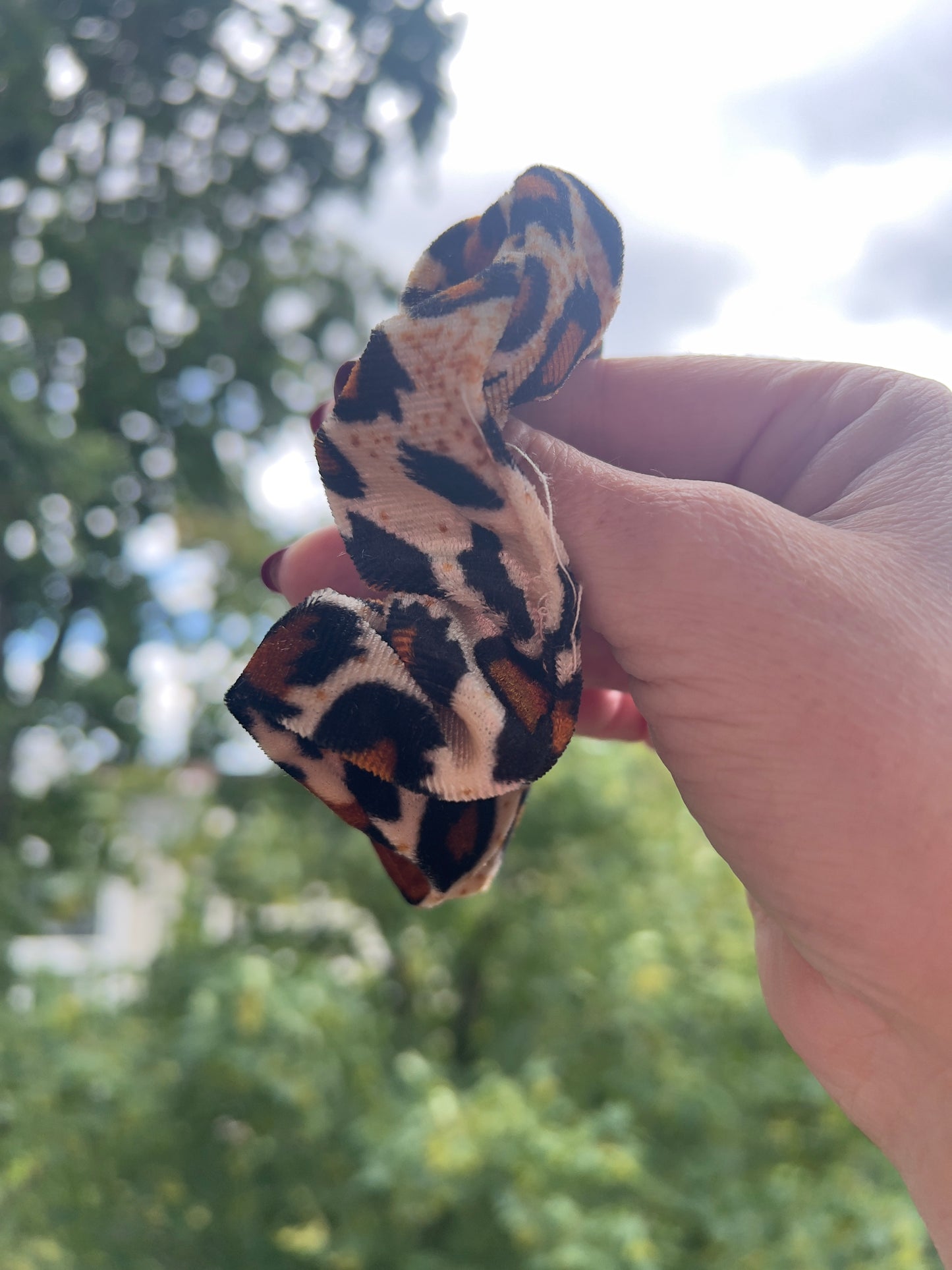 Leo Samt-Scrunchie – Weiches Haarband mit Leopardenmuster | Haaraccessoire für Zopf &amp; Dutt