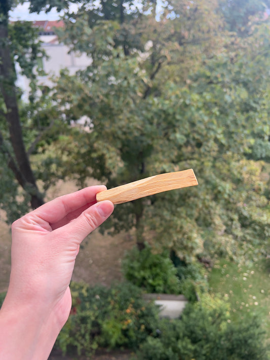 Palo Santo Holz – Heiliges Räucherholz zur Reinigung & Harmonisierung (Sticks)